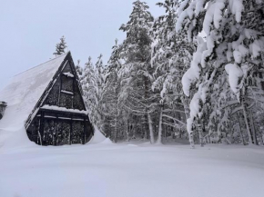 A-Snow nordic style
